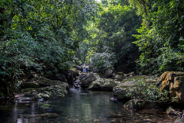 Fototapeta premium Langzeitbelichtung fließendes Wasser Wildbach im kolumbianischen Amazonas Regenwald.