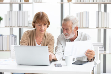 Fototapeta premium senior businesswoman and businessman talking and working together with laptop computer