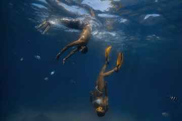 Fototapeta na wymiar Underwater scene with fish