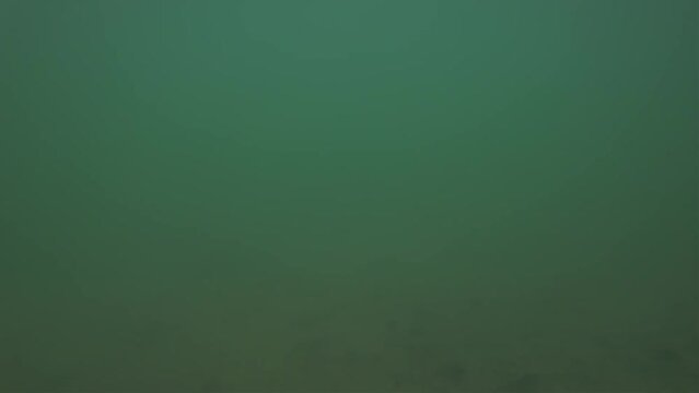 Drone crash into the water in a lake while tracking myself in a red kayack