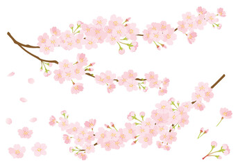 Obraz na płótnie Canvas 桜のデザインパーツセット