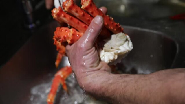 Chef cleaning giant King Crab legs with a brush in the restaurant kitchen.