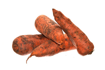 carrot isolated on white background