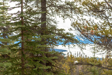 Fototapeta premium Incredible boreal forest of northern Canada during winter time with frozen lake, snow capped mountains in the background. 