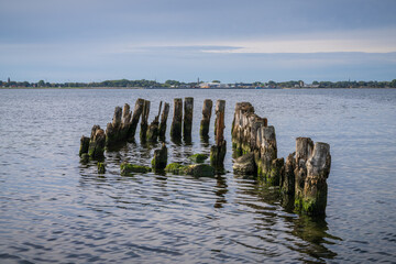 Wooden groynes in the Danish Wiek near Ludwigsburg, Mecklenburg-Western Pomerania, Germany