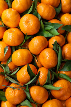 Mandarini - close-up