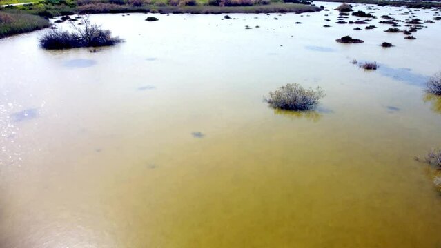 Swamp lake Oroklini in Larnaca in Cyprus. Habitat for 30 bird species. Drone aerial video.