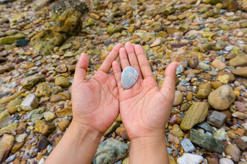 Pebbles in hand with pebble beach background.