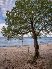 The Baltic Sea coast with a tree swing on the beach in Lubmin, Mecklenburg-Western Pomerania, Germany