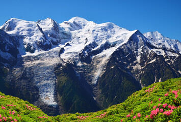 Mont Blanc mountain range in sunny day. Nature Reserve Aiguilles Rouges, Graian Alps, France, Europe.