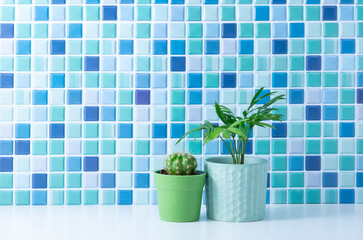 ブルーのタイル壁と観葉植物