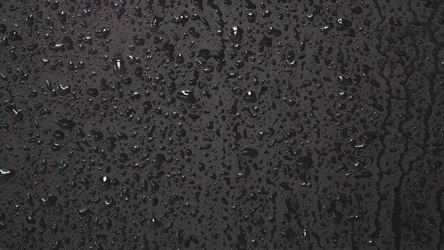 clean, abstract, aqua, background, black, blurred, bubble, closeup, condensation, down, drip, drizzle, drop, droplet, flow, flowing, glass, isolated, motion, nature, window, white, wet season, wet, we