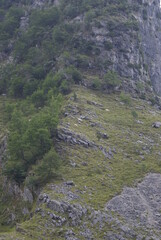 resceto  ALPI APUANE