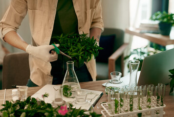 I just need a tiny bit for this experiment. Cropped shot of an unrecognizable botanist trimming the...
