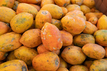 Papaya fruit in the food market. Fresh produce for sale in the traditional market.