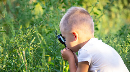 Young boy exploring nature in the meadow with a magnifying glass looking at flowers. Curious...
