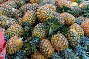A pile of pineapples on a food market in Dominican Republic. Fresh juicy organic fruits. 