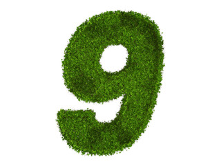 3d rendering of Alphabet number 9 made of boxwood flower. high resolution image in isolated white background