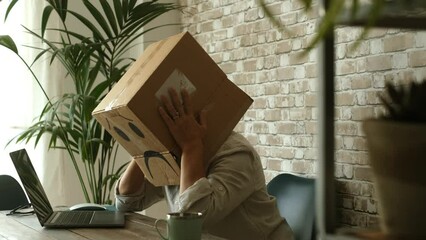 People in work office frustration sadness failure emotion with carton box on the head. Stress and desperation desk worker at home work place. Freelance and professional job career lifestyle. Crypto