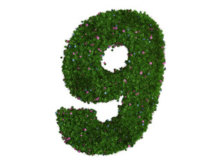 3d rendering of Alphabet number 9 made of hydrangea flower. high resolution image in isolated white background