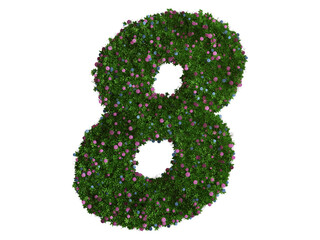 3d rendering of Alphabet number 8 made of hydrangea flower. high resolution image in isolated white background