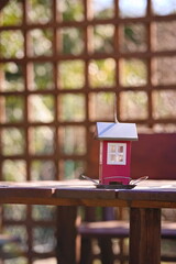 Red feeder for birds in the shape of a house on a background of openwork pergola in the garden 