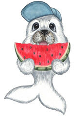 Cute seal with watermelon, Watercolor illustration