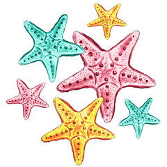 Starfishes watercolor hand drawn illustration