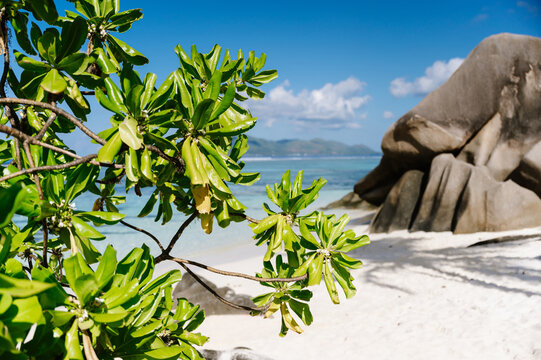 Seychelles beaches are of the most beautiful in the world