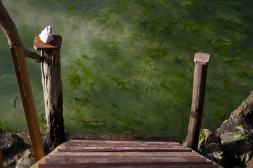 coasts of the Indian Ocean. zanzibar coast.