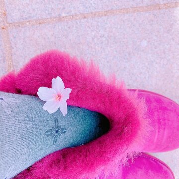 桜の花弁とブーツ