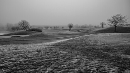 Winterlandschaft im Nebel - obrazy, fototapety, plakaty