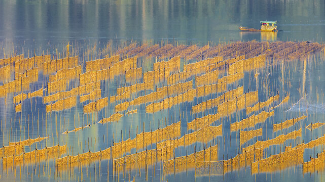 colorful Tidal flats