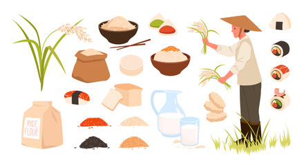 Raw and cooked rice set vector illustration. Cartoon products, ingredients and meal collection of sushi, mochi rice cake, plants from plantation and flour isolated on white. Agriculture concept