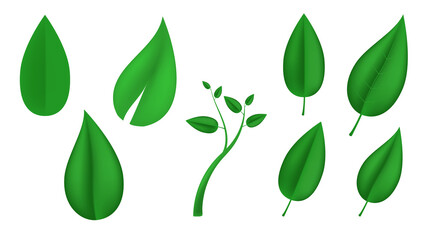 leaf icon set realistic 3d leaves ecology element 