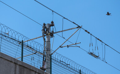 Electricity mast and energy cables of a train route