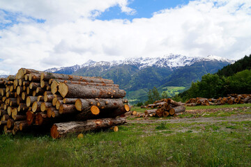 Alpine panorama with timber and snowy mountains in the background in South Tyrol (Parcines, Italy)