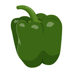 Cute green pepper isolated on white background. Flat vector illustration