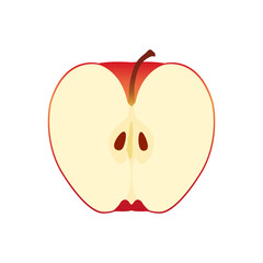 Red apple vector illustration cut in half isolated on a white background.