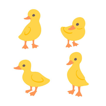 Cartoon duckling. Сute birds icons set. Childish print for nursery, kids apparel, poster, postcard, pattern.