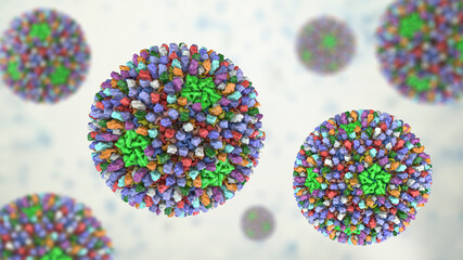 Reoviruses, viruses that cause infection of gastrointestinal and respiratory system