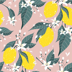 Lemon branch seamless pattern. Citrus fruit background. - 496437338