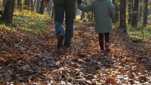 In slow motion, father and daughter holding hands walk and kick fallen leaves in an autumn forest. A man and a girl are walking in park with a small dog running around. View from behind. Walking a dog