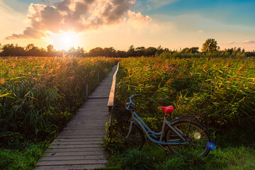 Beautiful landscape on a green Strandengen meadow. The bicycle stands near a wooden bridge that goes across the lake, overgrown with various vegetation against the sunset. Copenhagen, Denmark - obrazy, fototapety, plakaty