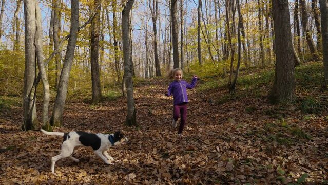 In slow motion, a child plays with a dog in an autumn forest. The girl runs down the slide for camera, with the little black and white dog jumping next to her. Front view. Walking a dog in the park
