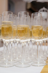 Glasses of champagne on a blur background