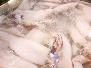 Obraz premium Top view of fresh squid on ice for sale in the fish market at Thailand, seafood on ice, Squid abstract background, Raw sea Cuttlefish for sale at seafood market use for cook, head splendid