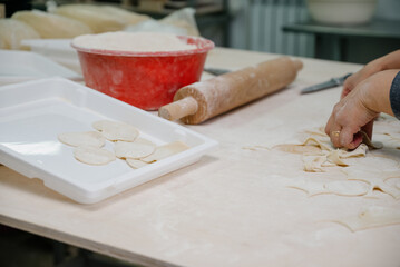The process of making homemade dumplings.Russian food.