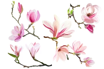 Zelfklevend Fotobehang magnolia flowers collection © milavas
