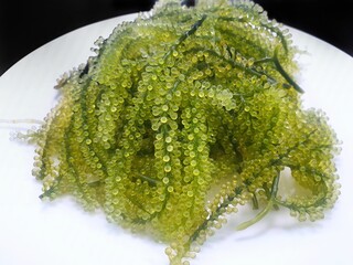 Selective focus of Sea Grapes or Green Caviar in white plate as a background (Lelato, Ararusip, Lato, Umi-budou, seaweed, lentillifera), High nutrition, healthy food concept, Top view, ready to eat © Dark Caramel